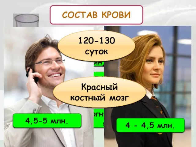 СОСТАВ КРОВИ Эритроциты 2 Красные кровяные клетки (гемоглобин) Транспорт кислорода и