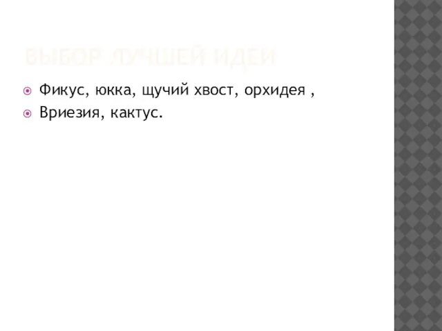 ВЫБОР ЛУЧШЕЙ ИДЕИ Фикус, юкка, щучий хвост, орхидея , Вриезия, кактус.