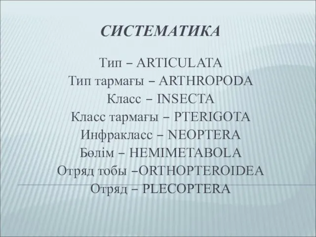 СИСТЕМАТИКА Тип – ARTICULATA Тип тармағы – ARTHROPODA Класс – INSECTA