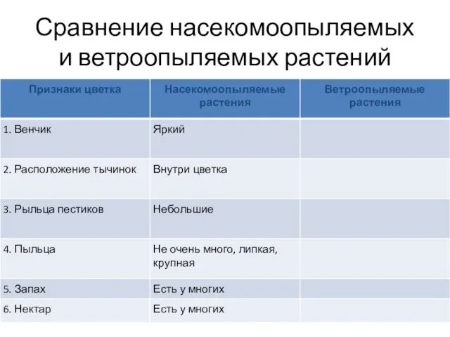 Сравнение насекомоопыляемых и ветроопыляемых растений