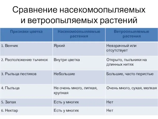 Сравнение насекомоопыляемых и ветроопыляемых растений