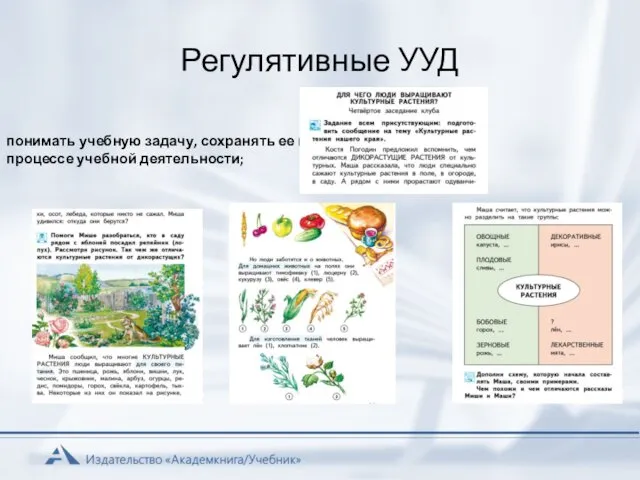 Регулятивные УУД понимать учебную задачу, сохранять ее в процессе учебной деятельности;