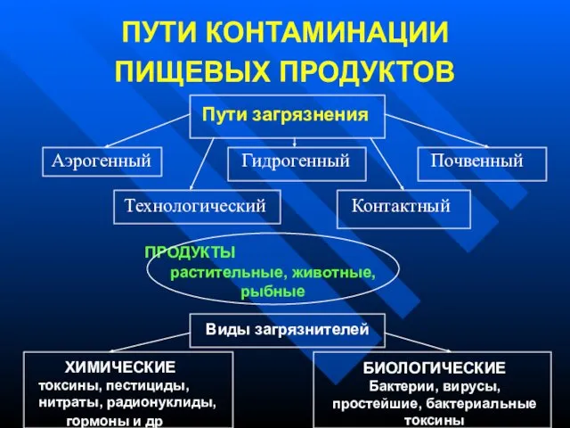 ПУТИ КОНТАМИНАЦИИ ПИЩЕВЫХ ПРОДУКТОВ Пути загрязнения Аэрогенный Гидрогенный Почвенный Технологический Контактный