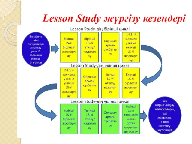 Lesson Study жүргізу кезеңдері