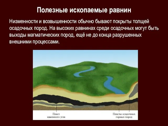 Полезные ископаемые равнин Низменности и возвышенности обычно бывают покрыты толщей осадочных