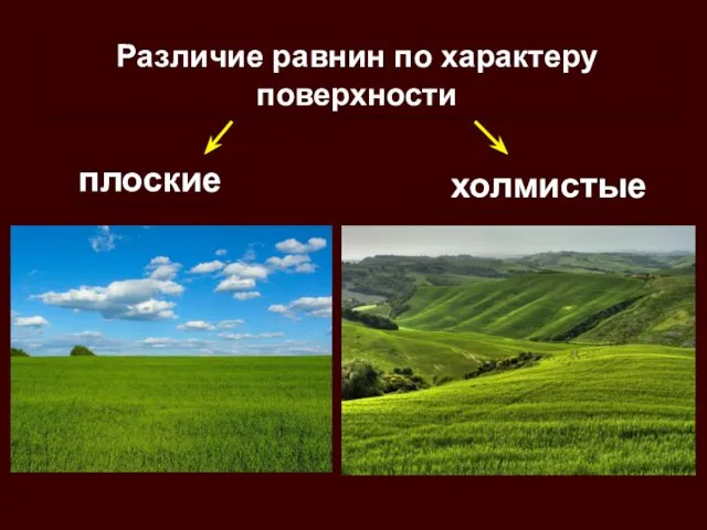 Различие равнин по характеру поверхности плоские холмистые