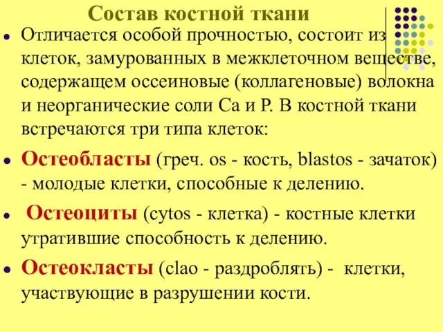 Состав костной ткани Отличается особой прочностью, состоит из клеток, замурованных в