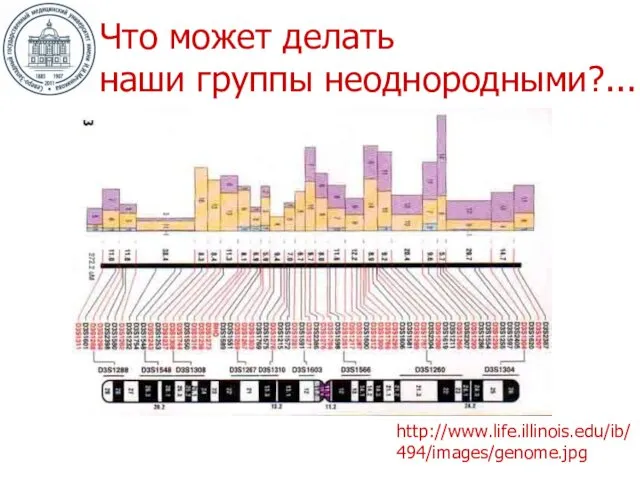 http://www.life.illinois.edu/ib/494/images/genome.jpg Что может делать наши группы неоднородными?...