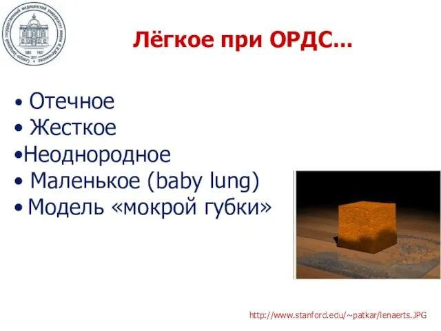 Лёгкое при ОРДС... Отечное Жесткое Неоднородное Маленькое (baby lung) Модель «мокрой губки» http://www.stanford.edu/~patkar/lenaerts.JPG