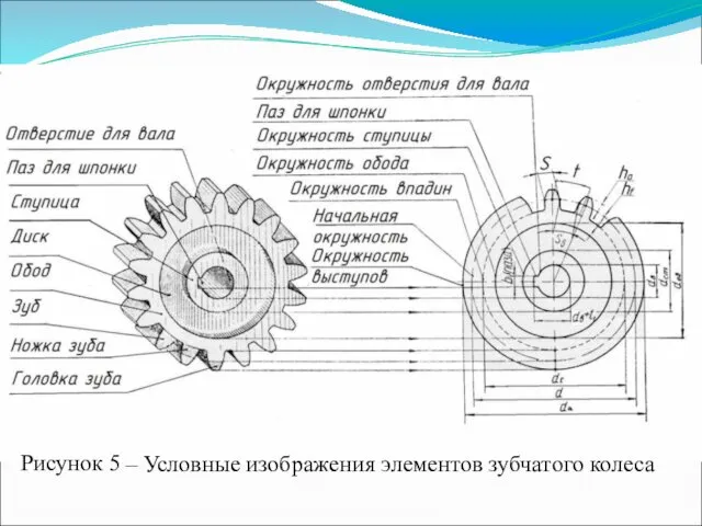 Рисунок 5 – Условные изображения элементов зубчатого колеса