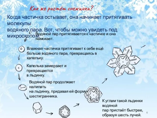 Как же растёт снежинка? Когда частичка остывает, она начинает притягивать молекулы