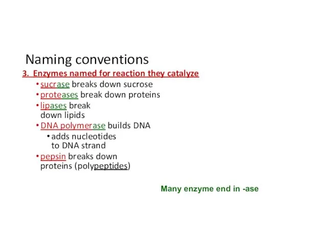 Naming conventions 3. Enzymes named for reaction they catalyze sucrase breaks