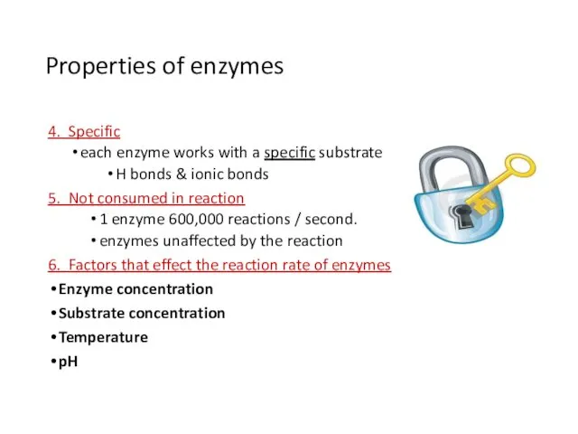 Properties of enzymes 4. Specific each enzyme works with a specific