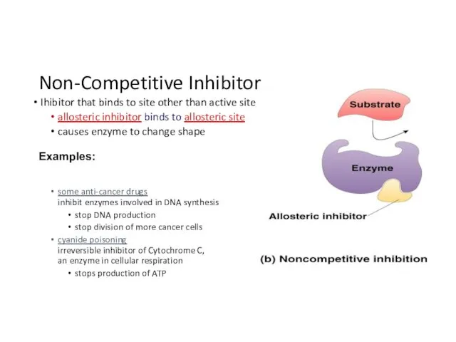 Non-Competitive Inhibitor Ihibitor that binds to site other than active site