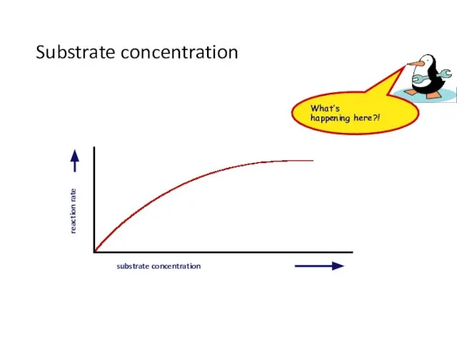 Substrate concentration substrate concentration reaction rate What’s happening here?!