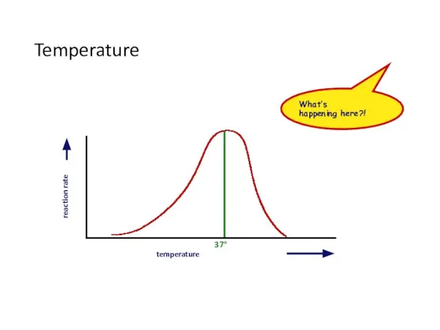 Temperature temperature reaction rate What’s happening here?!