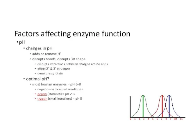 Factors affecting enzyme function pH changes in pH adds or remove