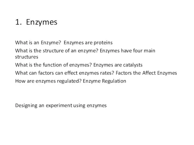 1. Enzymes What is an Enzyme? Enzymes are proteins What is