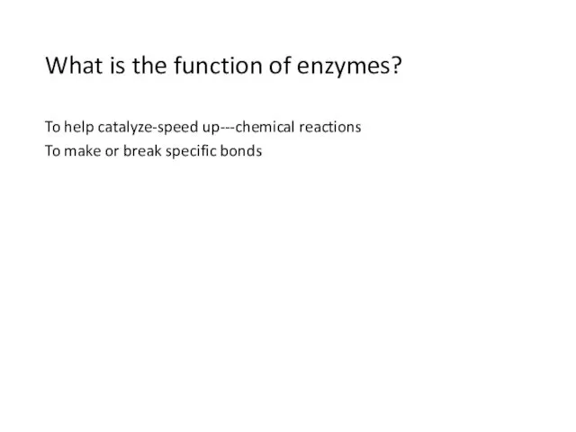 What is the function of enzymes? To help catalyze-speed up---chemical reactions