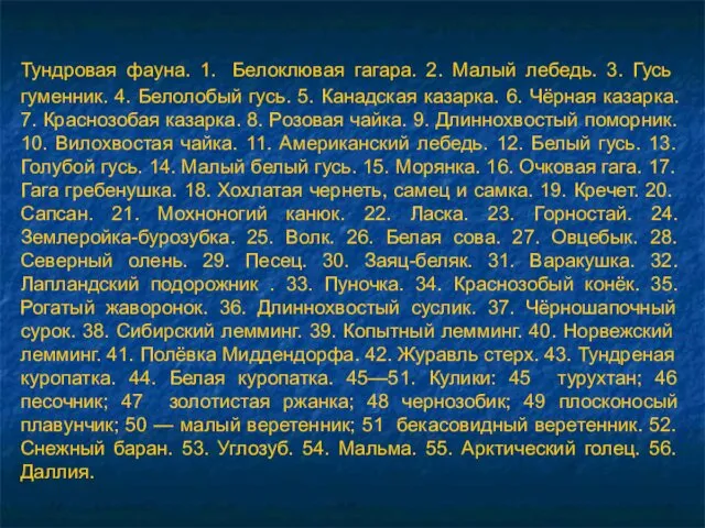 Тундровая фауна. 1. Белоклювая гагара. 2. Малый лебедь. 3. Гусь гуменник.