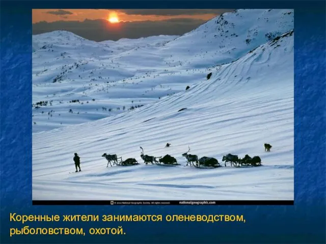 Коренные жители занимаются оленеводством, рыболовством, охотой.