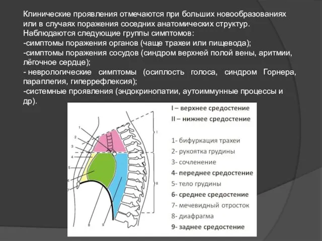 Клинические проявления отмечаются при больших новообразованиях или в случаях поражения соседних