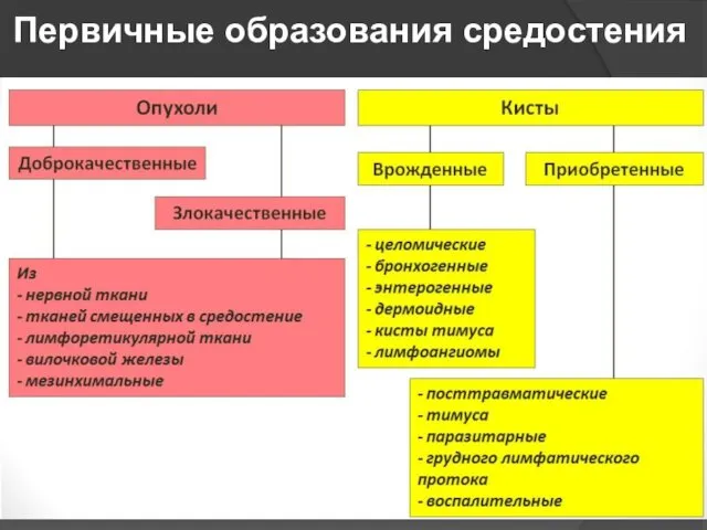 Первичные образования средостения