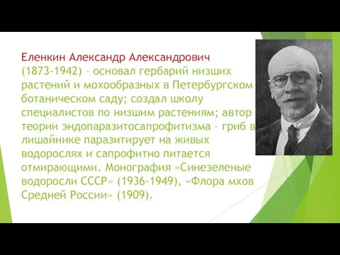 Еленкин Александр Александрович (1873-1942) – основал гербарий низших растений и мохообразных