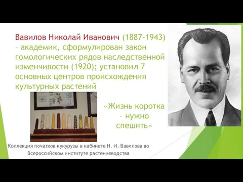 Вавилов Николай Иванович (1887-1943) – академик, сформулирован закон гомологических рядов наследственной