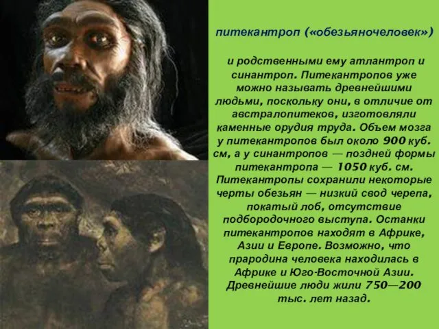 питекантроп («обезьяночеловек») и родственными ему атлантроп и синантроп. Питекантропов уже можно
