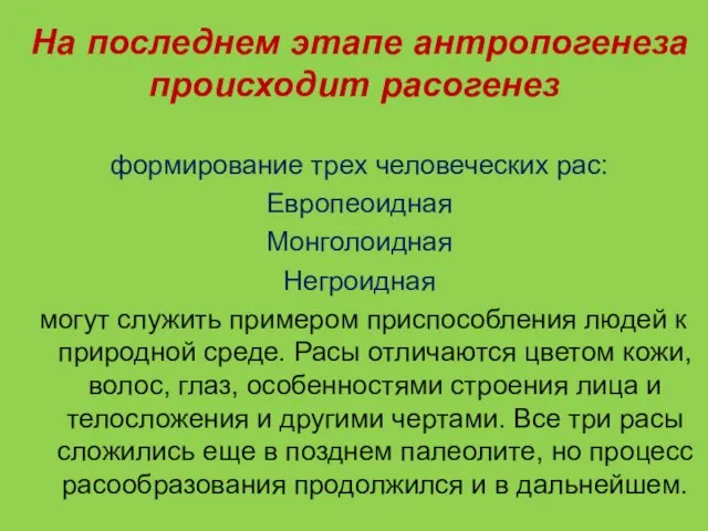 На последнем этапе антропогенеза происходит расогенез формирование трех человеческих рас: Европеоидная