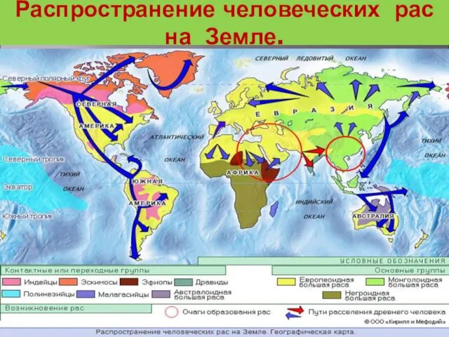 Распространение человеческих рас на Земле.