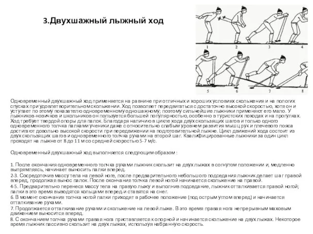 3.Двухшажный лыжный ход Одновременный двухшажный ход применяется на равнине при отличных