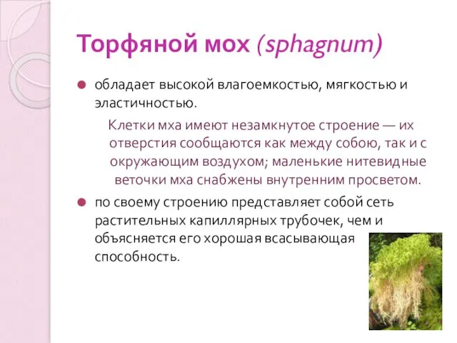 Торфяной мох (sphagnum) обладает высокой влагоемкостью, мягкостью и эластичностью. Клетки мха