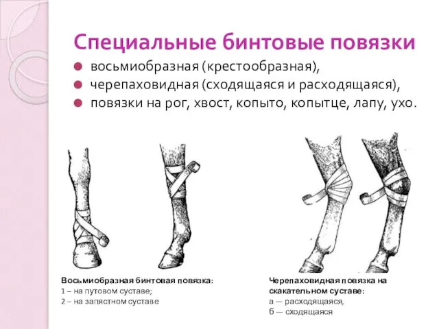 Специальные бинтовые повязки восьмиобразная (крестообразная), черепаховидная (сходящаяся и расходящаяся), повязки на