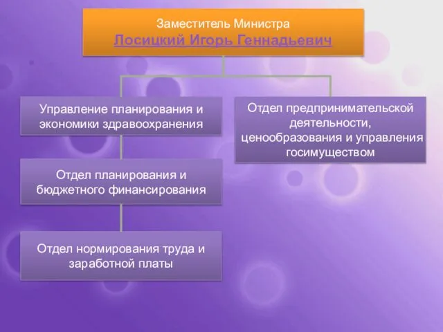 Заместитель Министра Лосицкий Игорь Геннадьевич Управление планирования и экономики здравоохранения Отдел