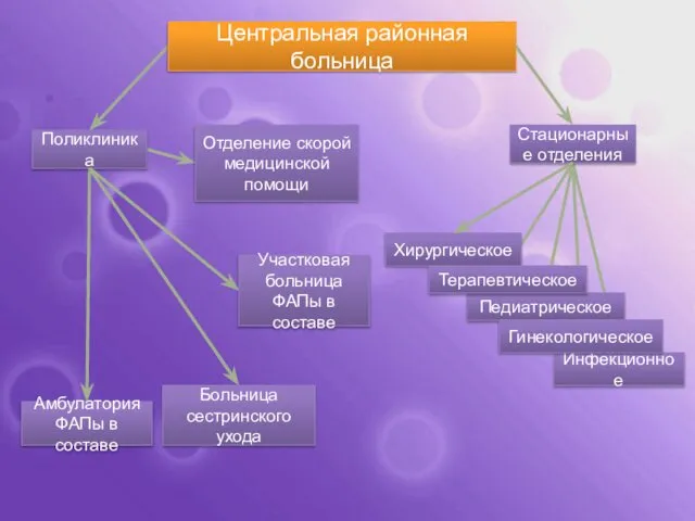 Инфекционное Центральная районная больница Поликлиника Педиатрическое Гинекологическое Стационарные отделения Хирургическое Терапевтическое