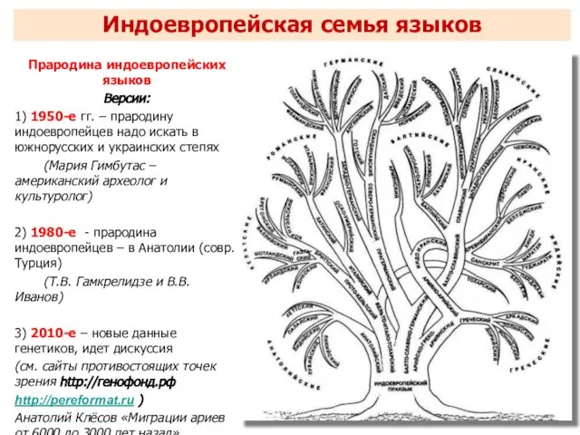 Прародина индоевропейских языков Версии: 1) 1950-е гг. – прародину индоевропейцев надо