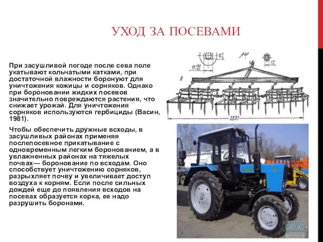 При засушливой погоде после сева поле укатывают кольчатыми катками, при достаточной