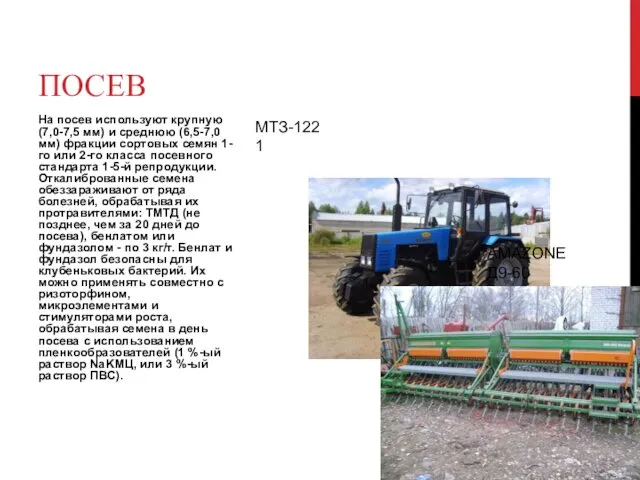 На посев используют крупную (7,0-7,5 мм) и среднюю (6,5-7,0 мм) фракции