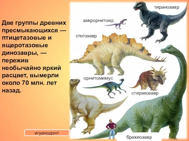 Две группы древних пресмыкающихся — птицетазовые и ящеротазовые динозавры, — пережив