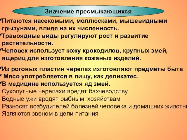 Значение пресмыкающихся Питаются насекомыми, моллюсками, мышевидными грызунами, влияя на их численность.