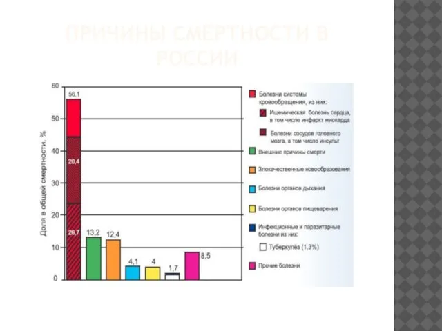 ПРИЧИНЫ СМЕРТНОСТИ В РОССИИ