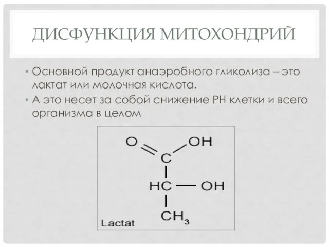 ДИСФУНКЦИЯ МИТОХОНДРИЙ Основной продукт анаэробного гликолиза – это лактат или молочная