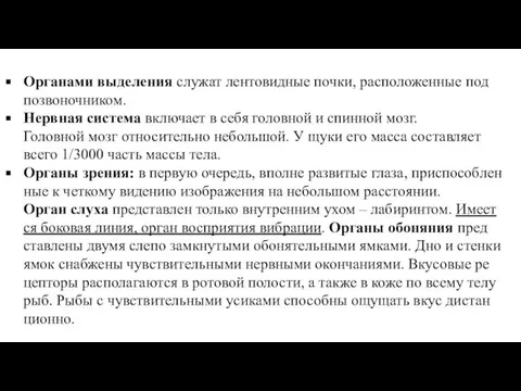 Ор­га­на­ми вы­де­ле­ния слу­жат лен­то­вид­ные почки, рас­по­ло­жен­ные под по­зво­ноч­ни­ком. Нерв­ная си­сте­ма вклю­ча­ет