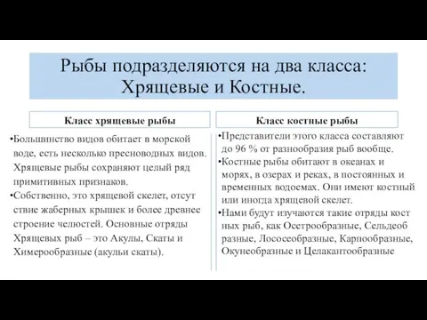 Рыбы под­раз­де­ля­ют­ся на два клас­са: Хря­ще­вые и Кост­ные. Класс хрящевые рыбы