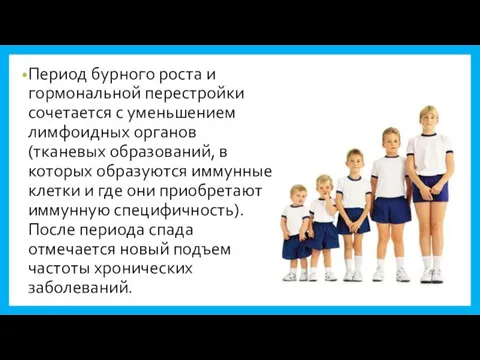 Период бурного роста и гормональной перестройки сочетается с уменьшением лимфоидных органов