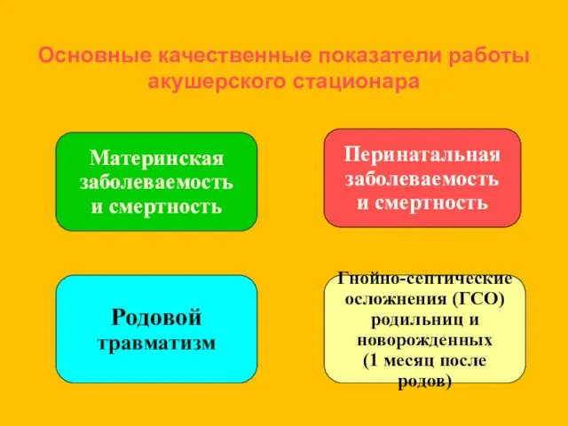 Основные качественные показатели работы акушерского стационара Материнская заболеваемость и смертность Перинатальная