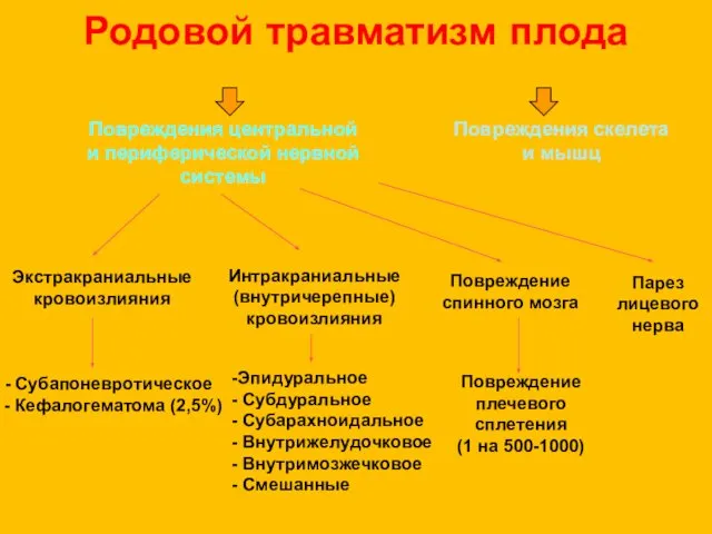 Родовой травматизм плода Повреждения центральной и периферической нервной системы Повреждения скелета