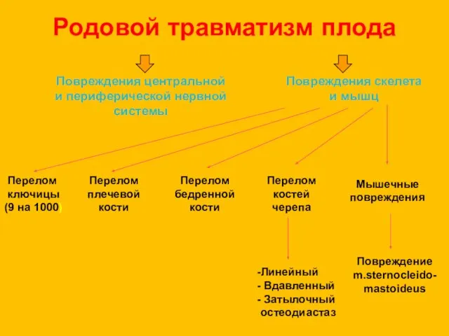 Родовой травматизм плода Повреждения центральной и периферической нервной системы Повреждения скелета